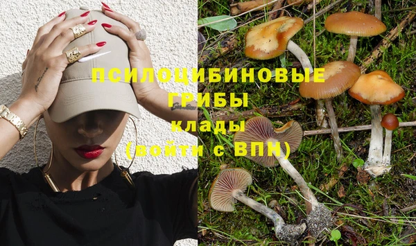 МДПВ Белокуриха